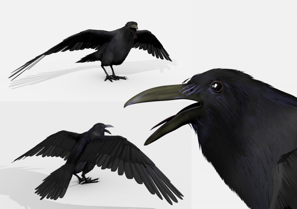 blackbird(raven) preview image 1
